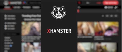 hamsterlivr|Guide for Models/Studios – xHamsterLive